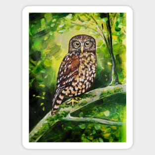 Morepork Owl by Ira Sticker